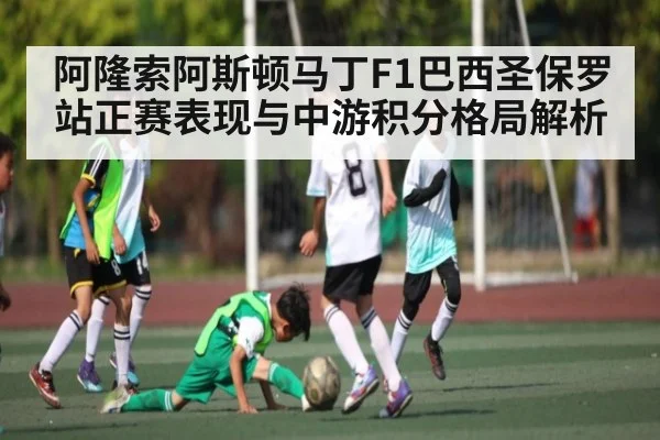 阿隆索阿斯顿马丁F1巴西圣保罗站正赛表现与中游积分格局解析