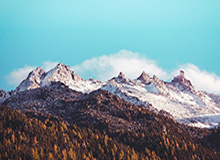 开云体育下载管理-姆比亚拿走MVP实至名归 队友：一般人根本撞不动他